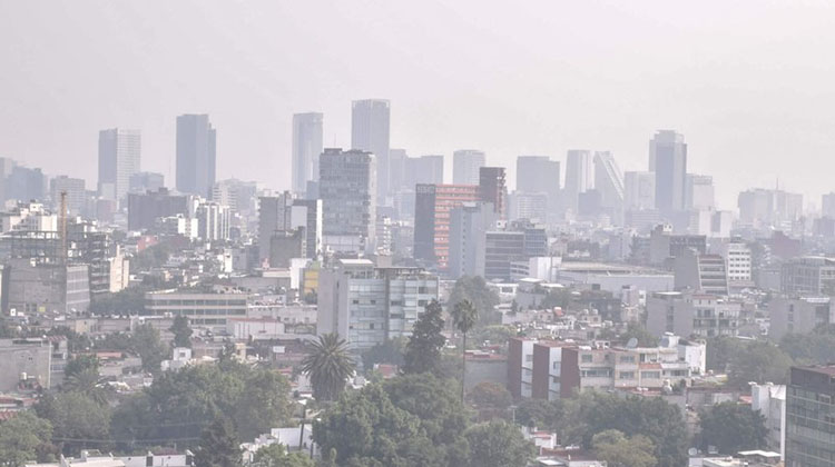 D&iacute;a Nacional de Conciencia Ambiental