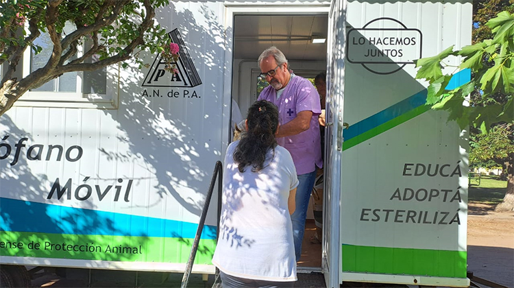 ​Castraciones