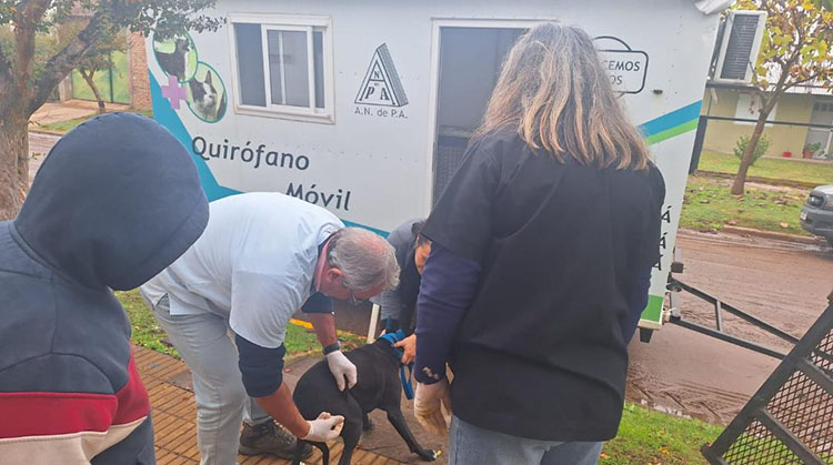 ​Programa &ldquo;Municipio cercano&rdquo;