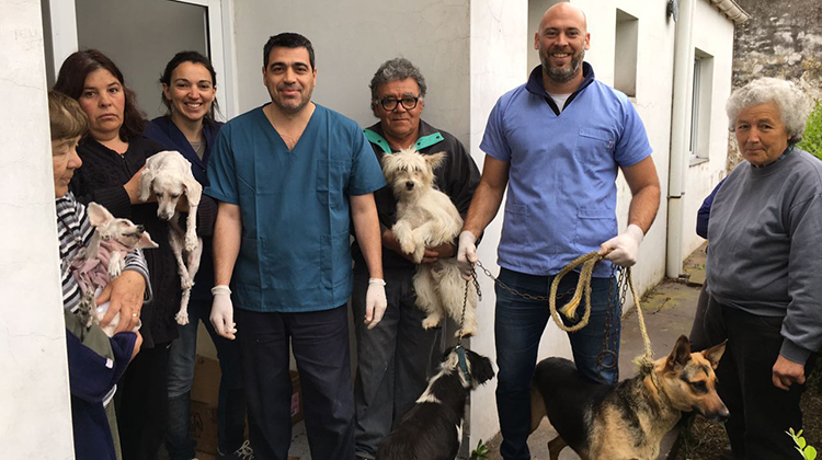 Castraci&oacute;n de mascotas