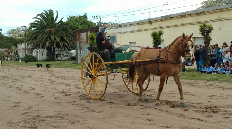 &ldquo;Fiesta de la torta frita&rdquo;