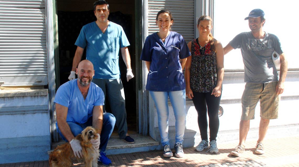 Campa&ntilde;a de castraciones