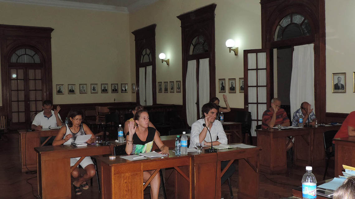 Sesion&oacute; el Concejo y sin el FPV