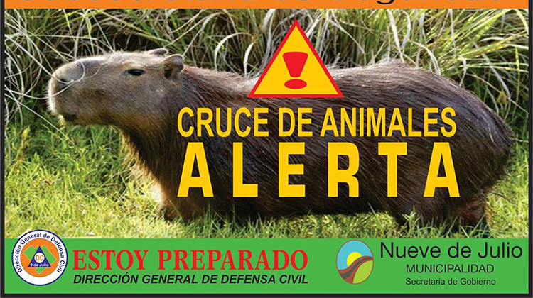 ​Alerta tr&aacute;nsito 