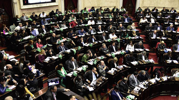 Diputados: Debate sobre aborto legal